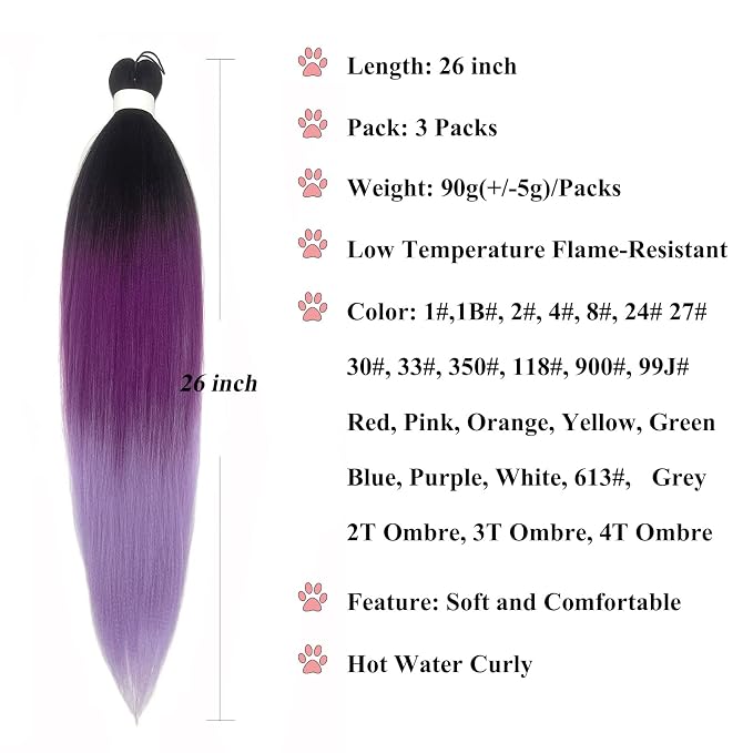 3T Purple Hair Braids