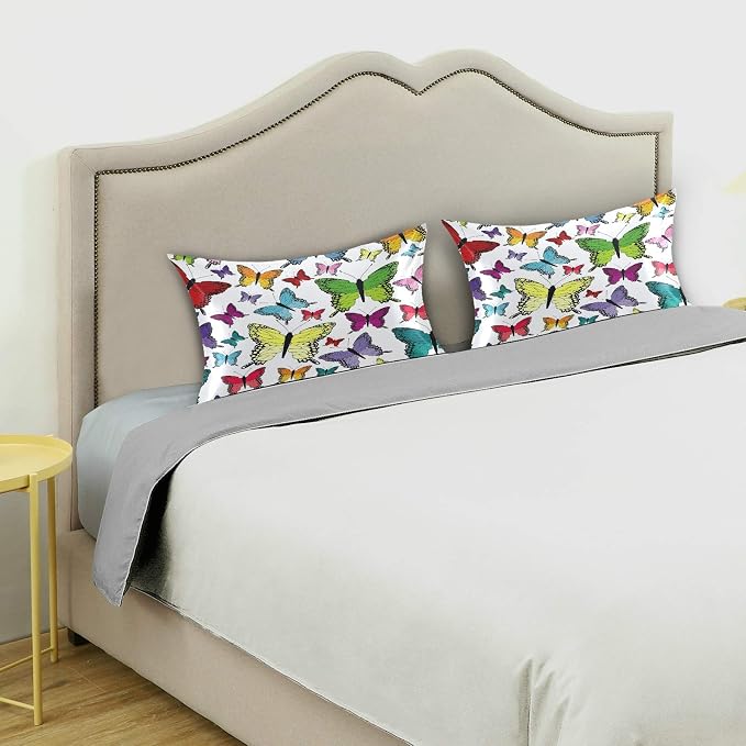Colorful Butterflies