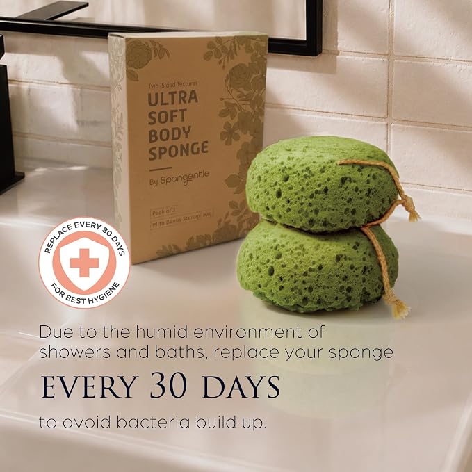 Matcha Green - 3 Pack