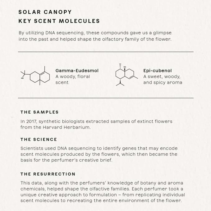 Solar Canopy