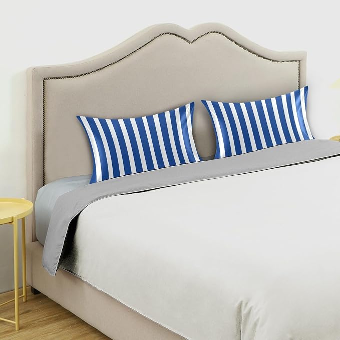 Blue and White Stripes