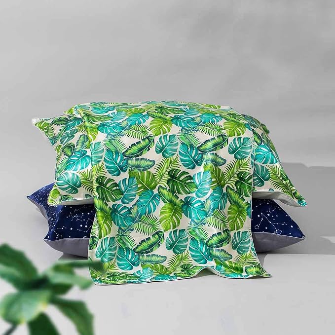 Monstera