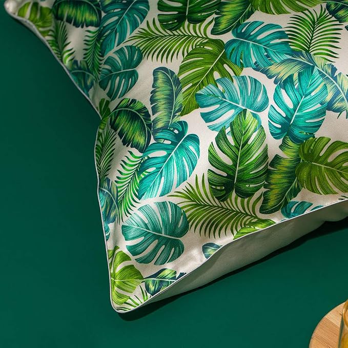 Monstera