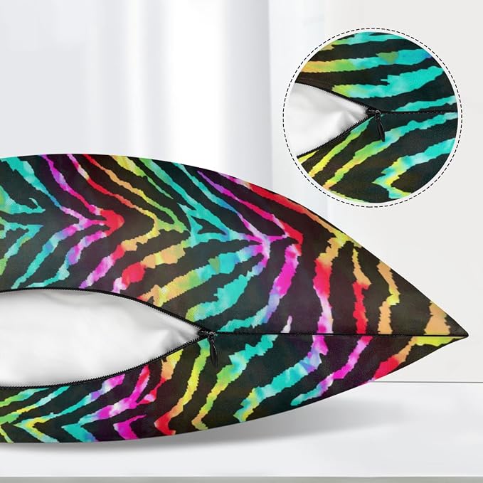 Rainbow Zebra