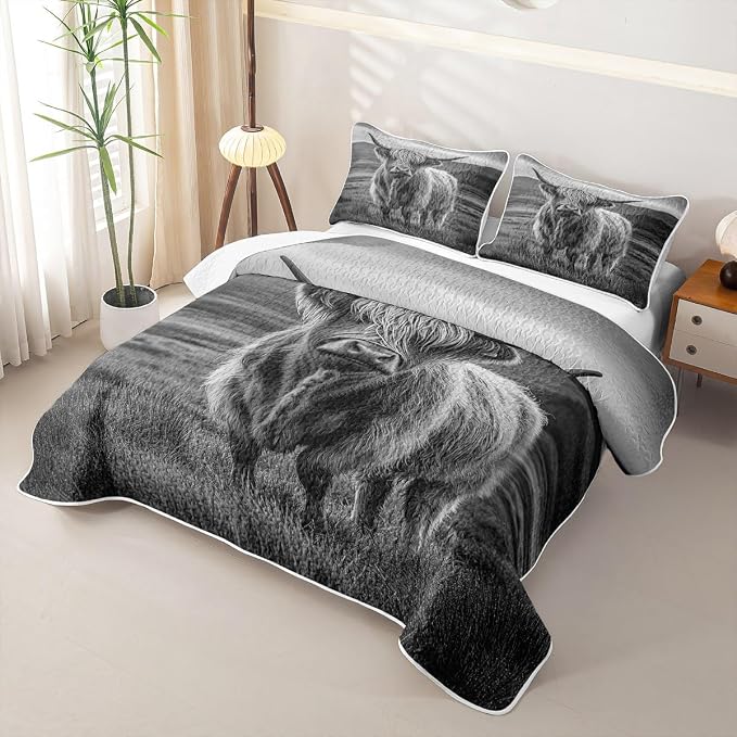 Black and Grey