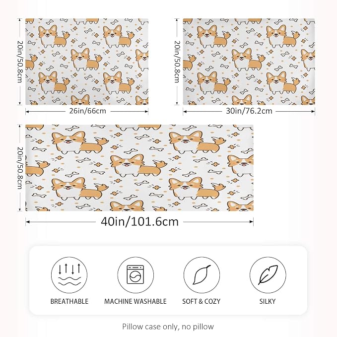 Cute Welsh Corgi