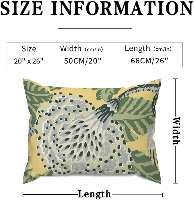 (Pack of 1)