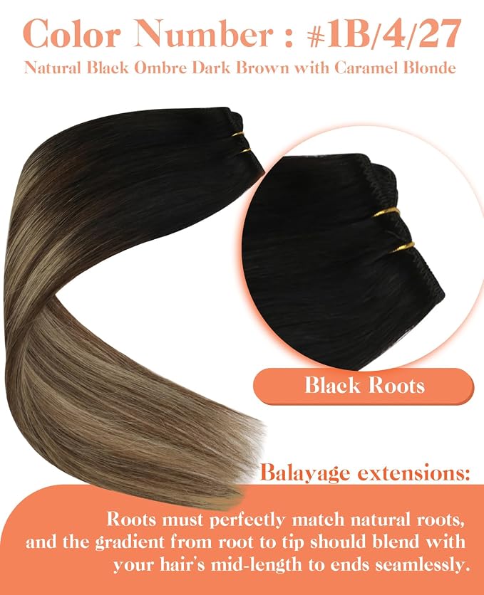 C-1B/4/27-Black Roots to Brown with Caramel Blonde