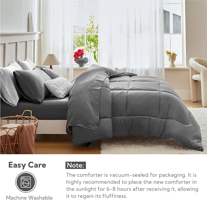 02- Dark Grey Classic