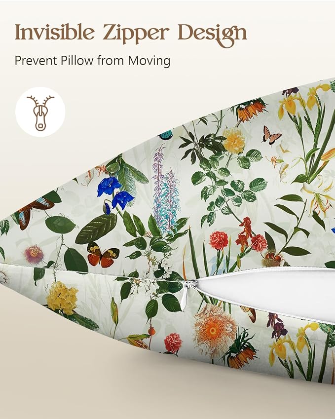 Butterfly Plant