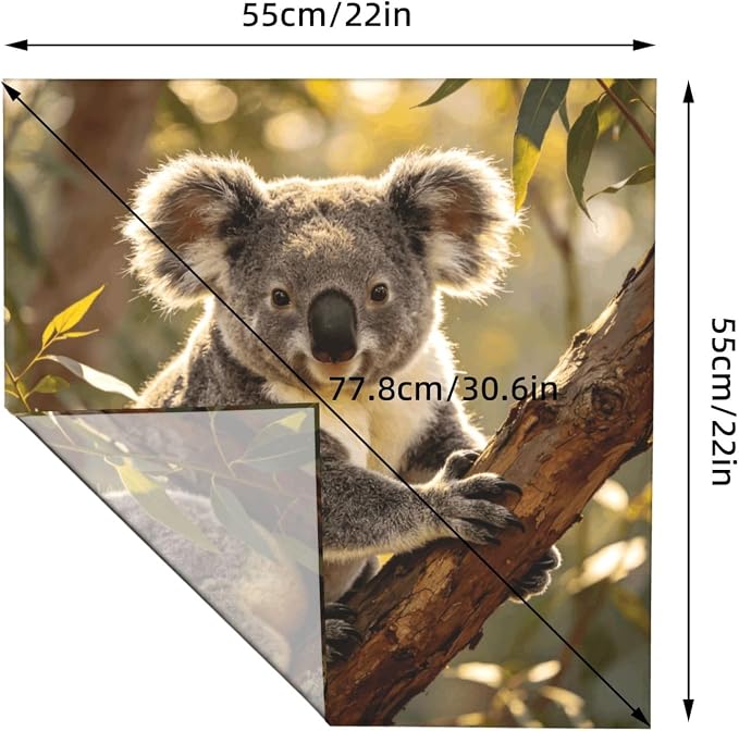 Bear Koala