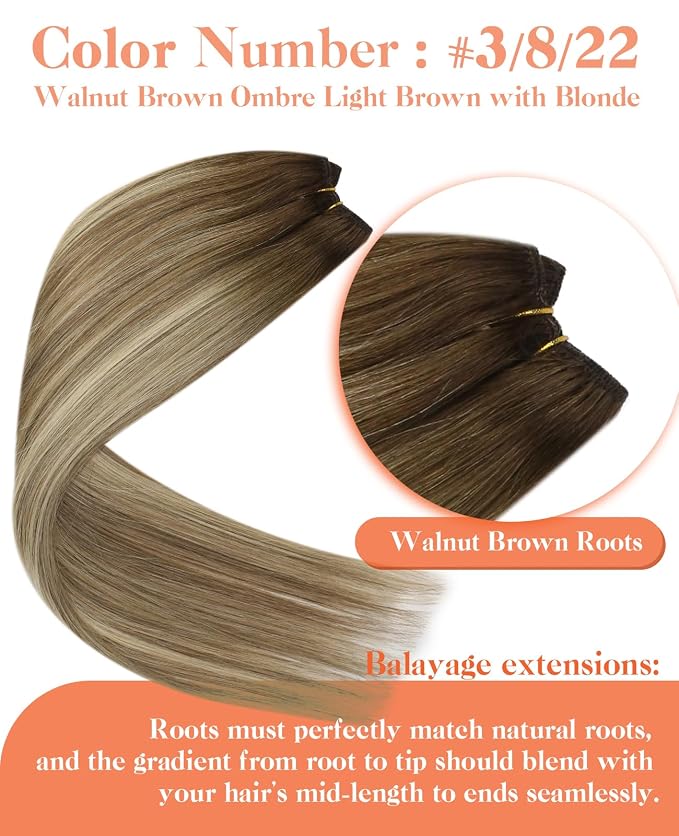 C-3/8/22-Brown Roots to Light Brown with Blonde