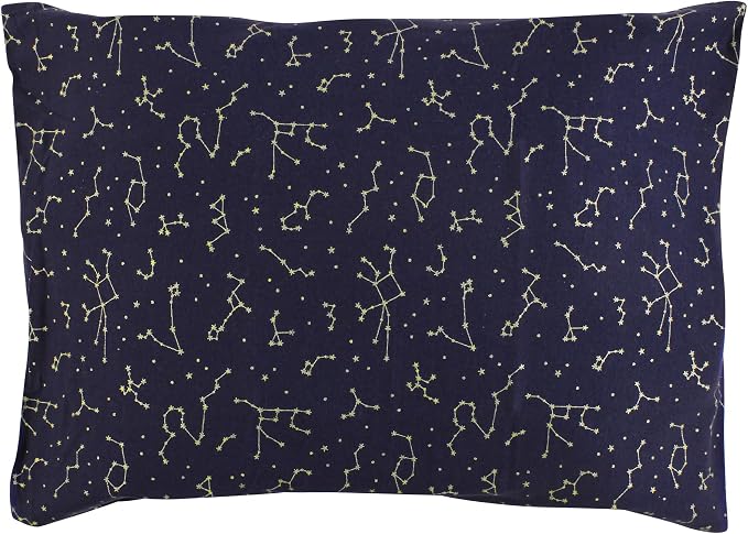 Navy Constellation