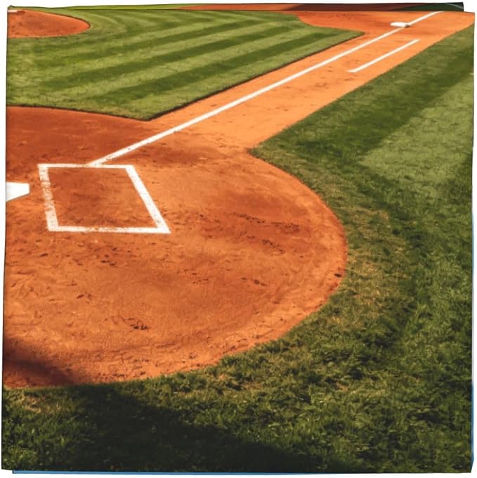 Baseball Sports Field
