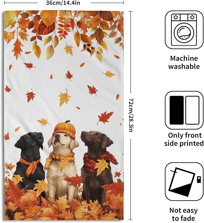 Fall Dog