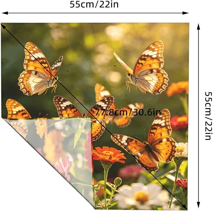 Beautiful Butterflies