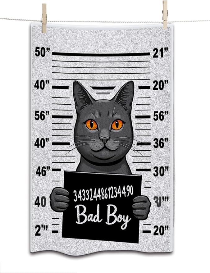 Criminal Cat