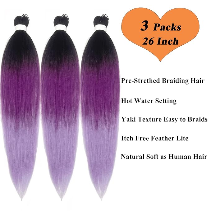 3T Purple Hair Braids