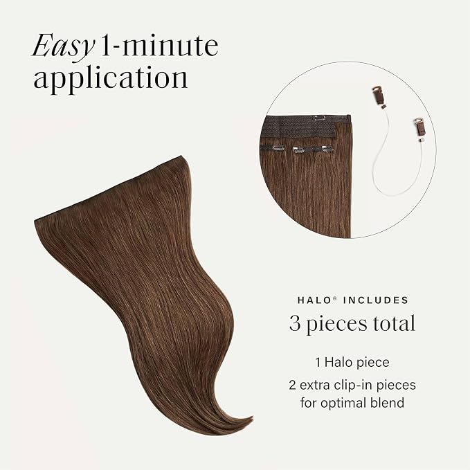 Chestnut Brown / 6
