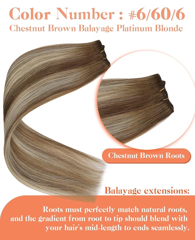 C-6/60/6-Balayage Chestnut Brown with Blonde
