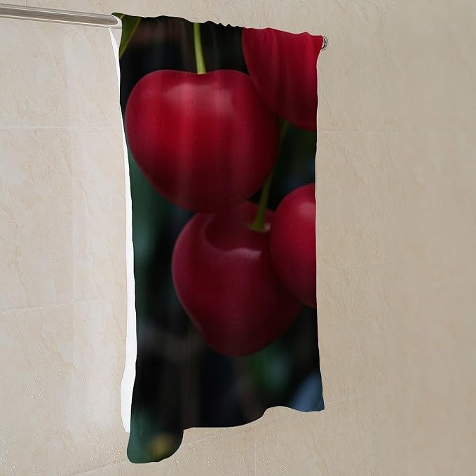 Cherry Fruit