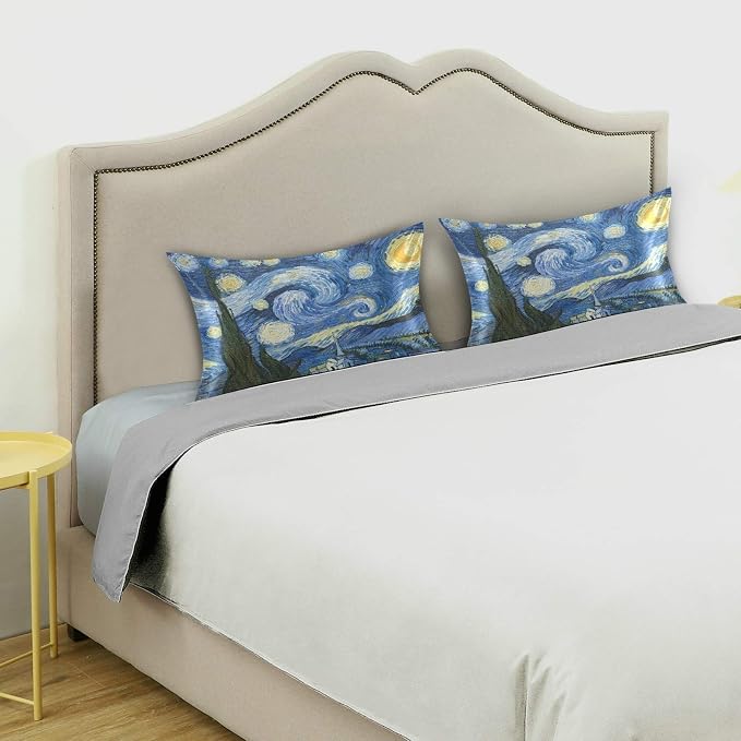 Van Gogh the Starry Night Art