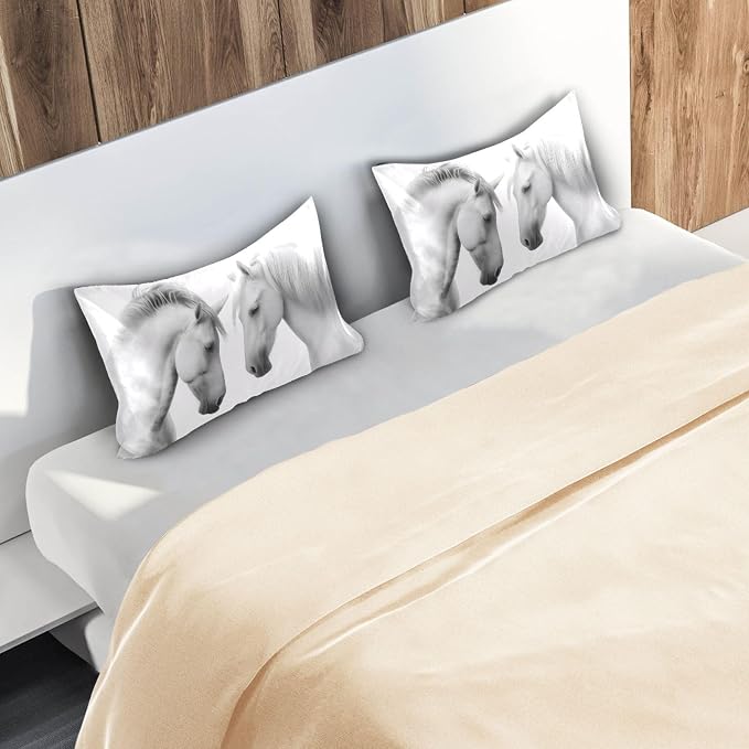 Beautiful White Horse