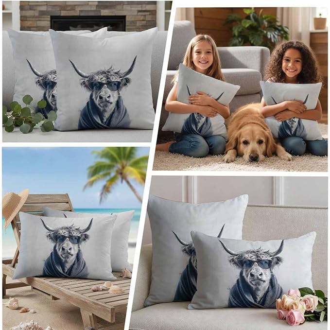 (Pack of 2)