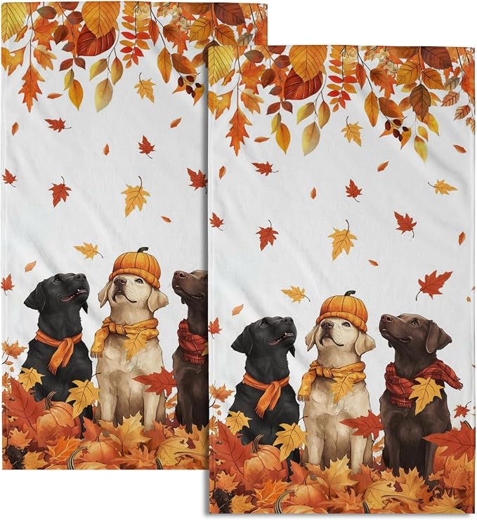 Fall Dog