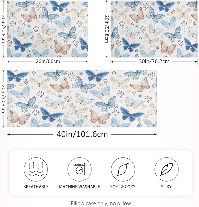 Blue Butterfly