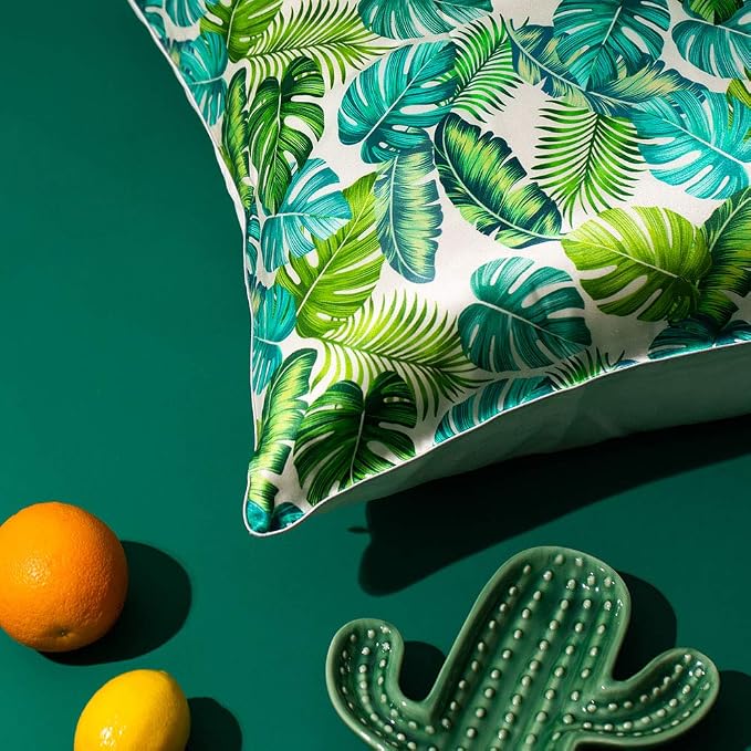 Monstera