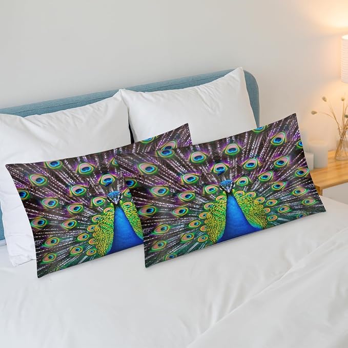 Peacock
