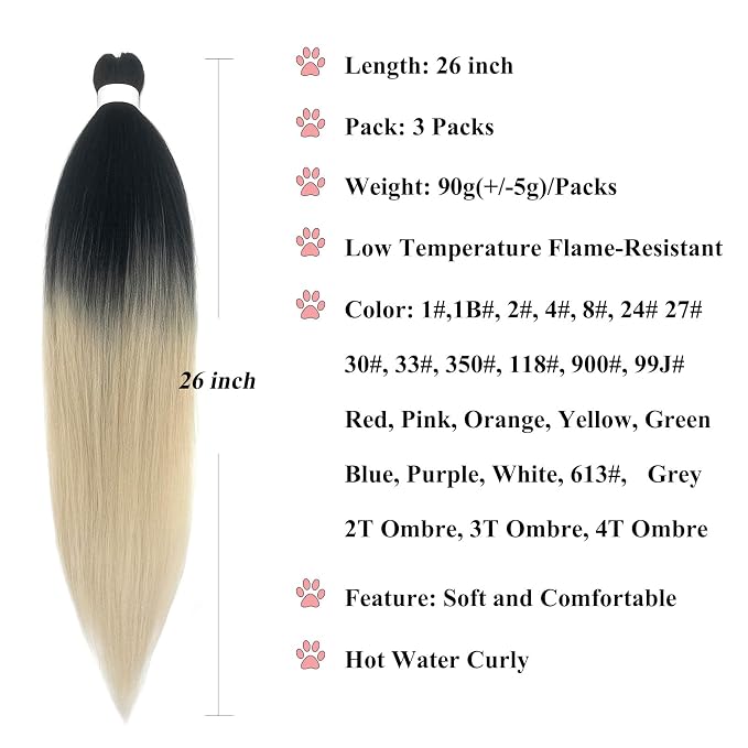 Blonde Ombre Braids Hair