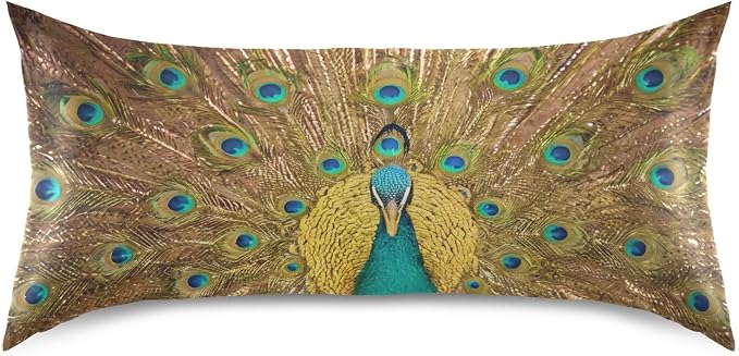 Beautiful Peacock