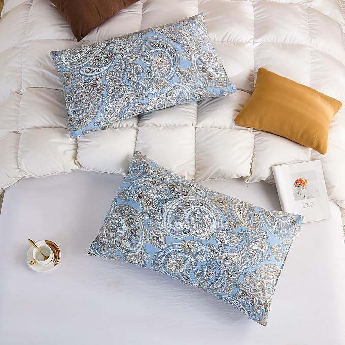 Blue Paisley