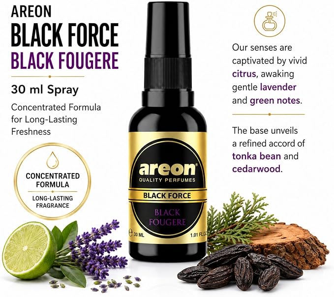 Black Fougere