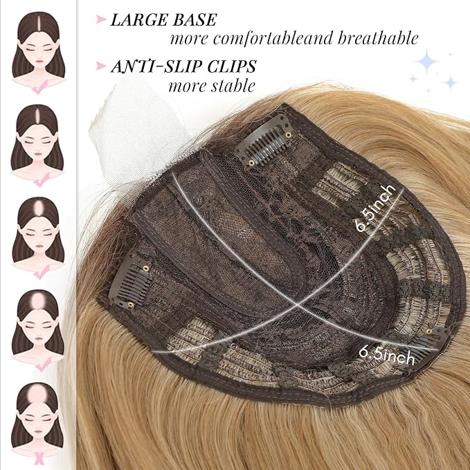 Ombre Brown Blonde
