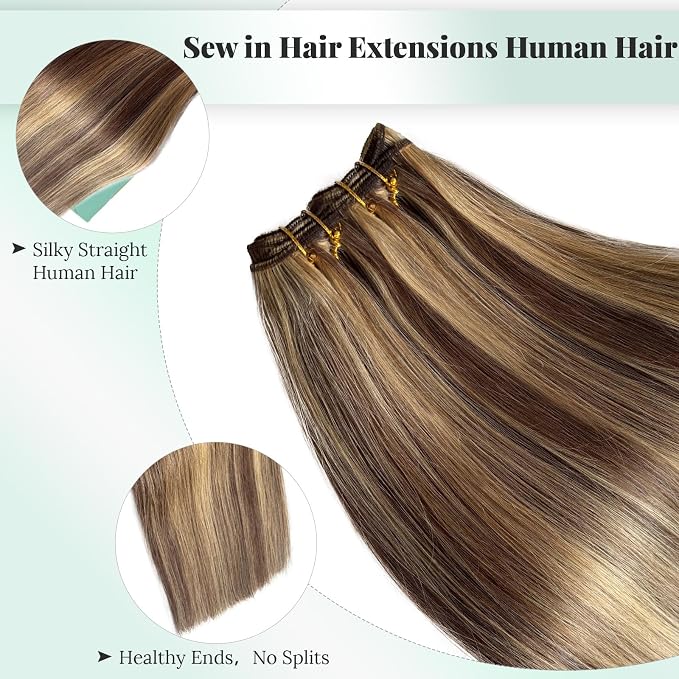 #4/27 Brown and Caramel Blonde Highlights