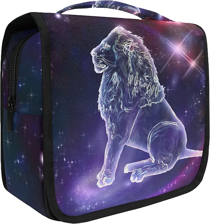 Leo Constellation Space