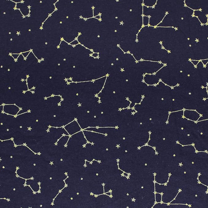 Navy Constellation
