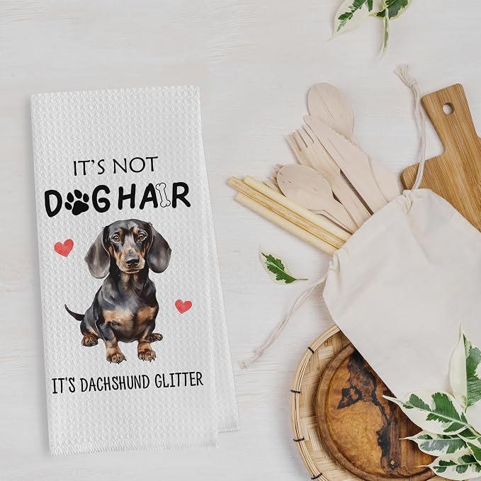 Dachshund