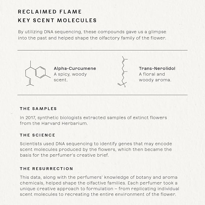 Reclaimed Flame