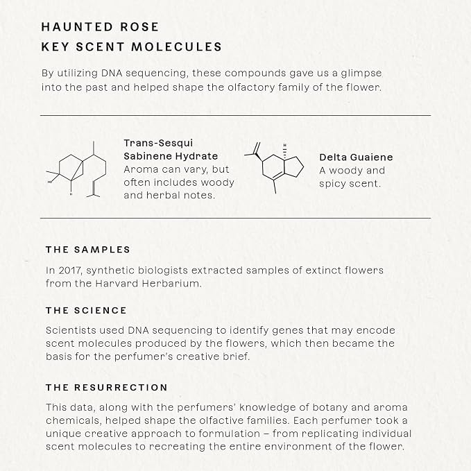 Haunted Rose