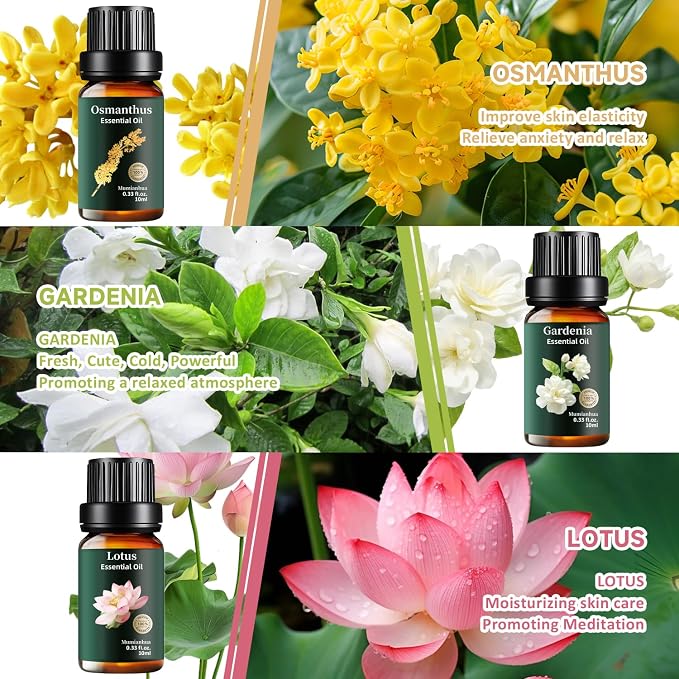 Floral-12pack