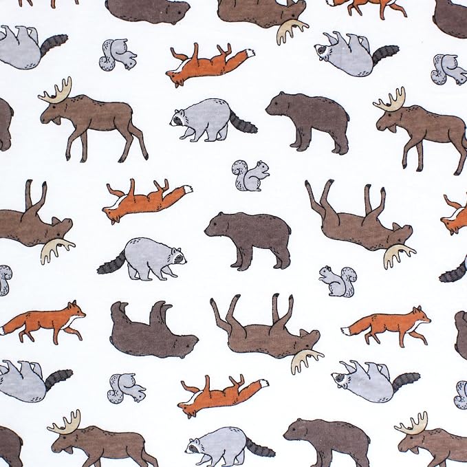 Animal Adventure
