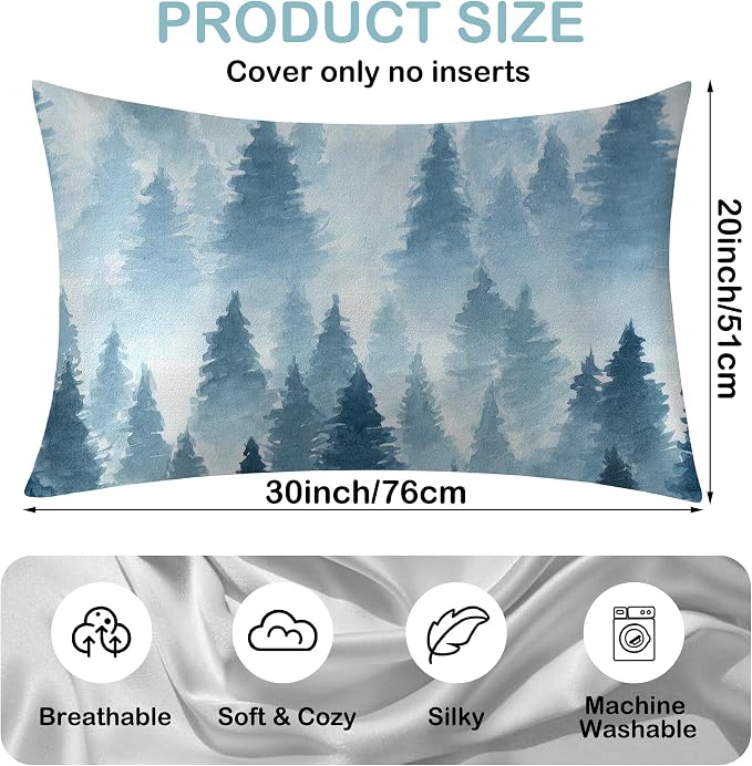 Foggy Forest Landscape