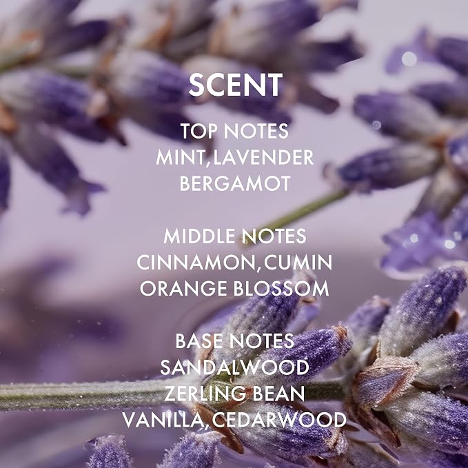 Lavender+ PURPLE HAIR