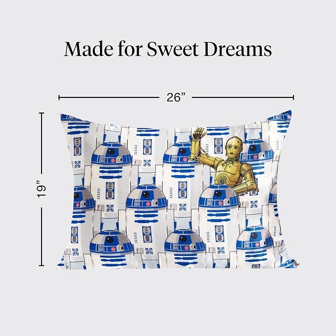 R2-d2 & C-3po
