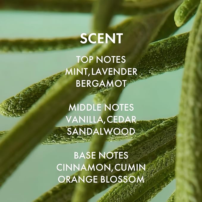 Rosemary+ PURIFYING