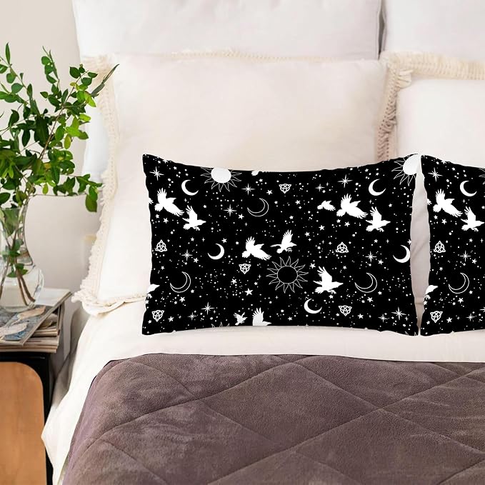 Abstract Moon Sun